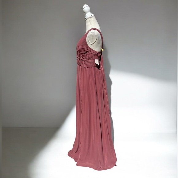 🌻Birdy Grey Laurie Chiffon Dress in Rosewood - Picture 6 of 12